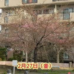 ���s��2/27