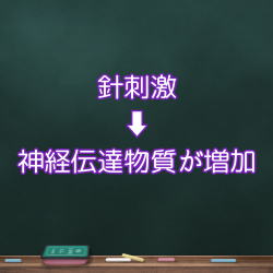 神経伝達物質 神経伝達物質