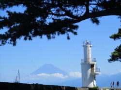 松と富士山 松と富士山